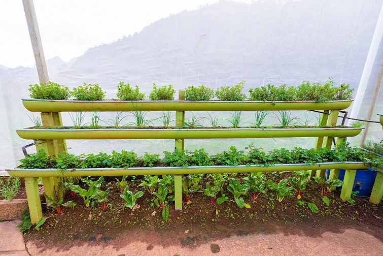 How to create a portable vertical garden